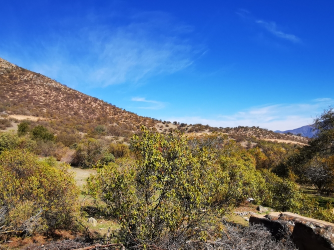 Hacienda Entrevalle landscape